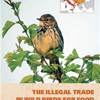 The illegal trade