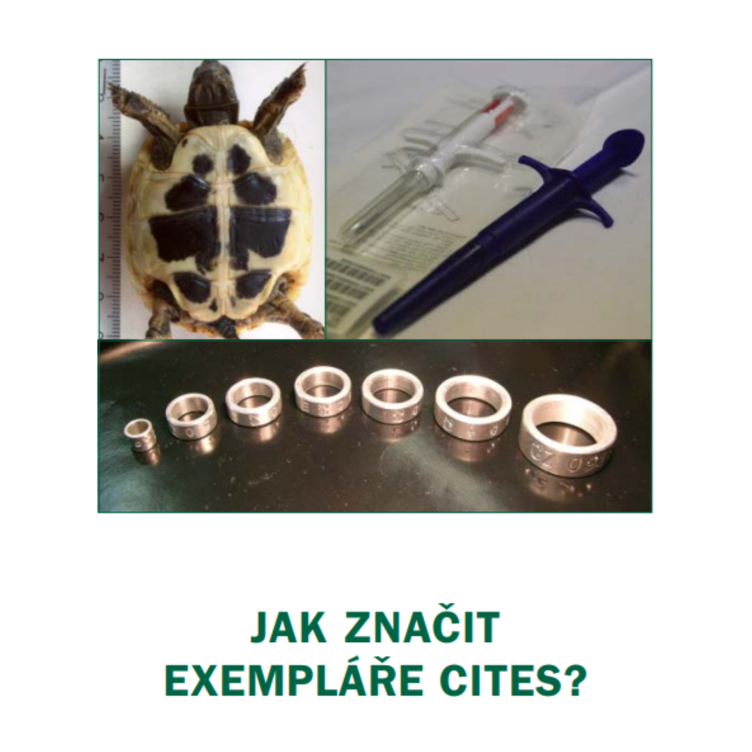 Jak značit exempláře