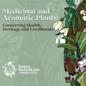 World Wildlife Day 2026