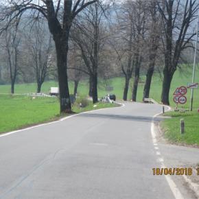 IMG-7660.JPG