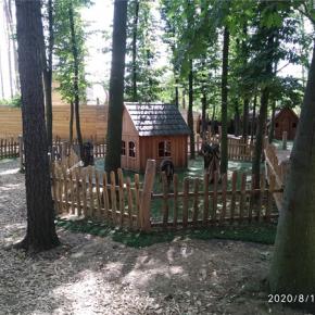 IMG-20200818-150527.jpg