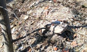 Navážka výkopového materiálu se stavebním odpadem na lesní pozemek