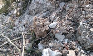 Navážka výkopového materiálu se stavebním odpadem na lesní pozemek