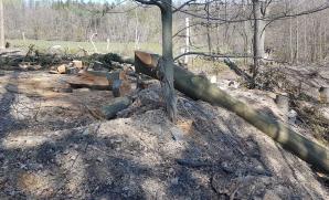 Nelegální těžba a navážka výkopového materiálu se stavebním odpadem na lesní pozemek