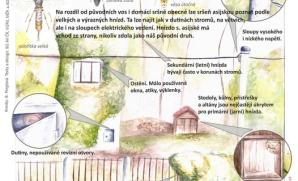 Pozor na sršeň asijkou - leták