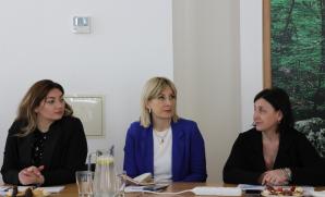 ČIŽP přivítala delegaci Gruzie