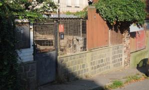 Zanedbávaní vlci z nelegálního chovu mají nový domov v ZOO Tábor 