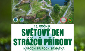 SDSP1