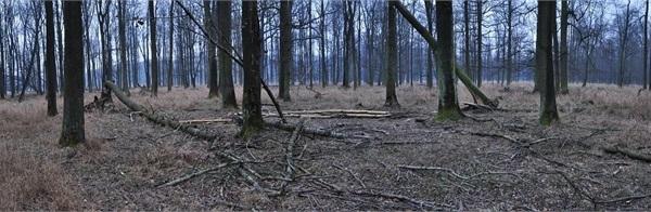 DSC-0134-panorama.jpg