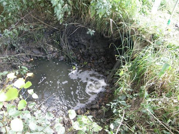 Foto-12.jpg