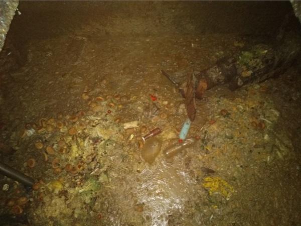 Firma skladovala biologicky rozložitelný odpadu z kuchyní a stravoven, u kterého navíc nebyla provedena patřičná hygienizace ohřevem..jpg