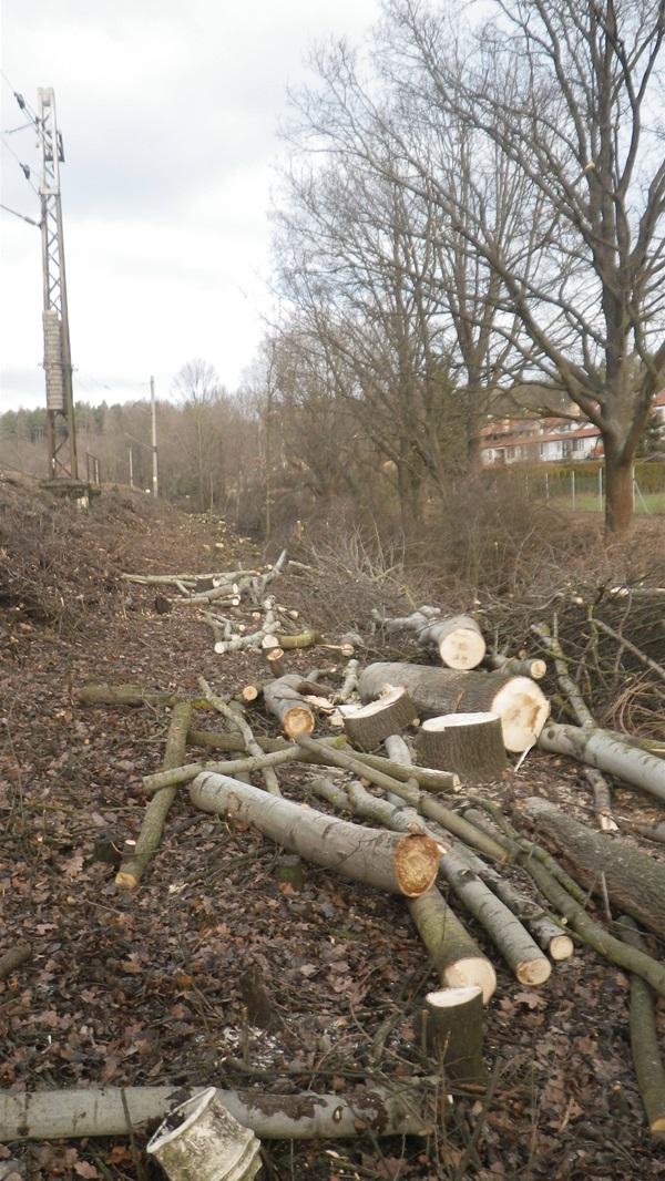 SŽDC1.JPG