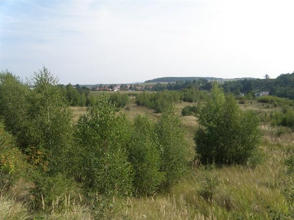 P8300015.JPG