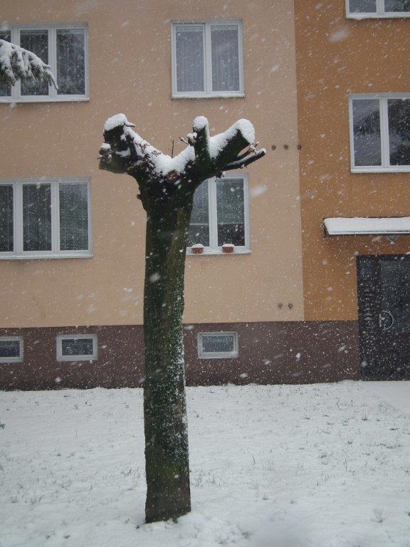 Město Ostrava.jpg