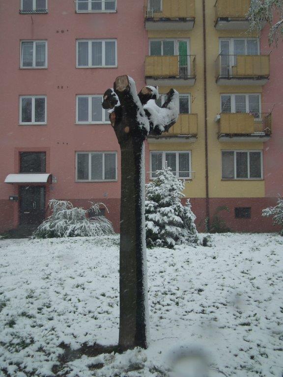 Město Ostrava2.jpg